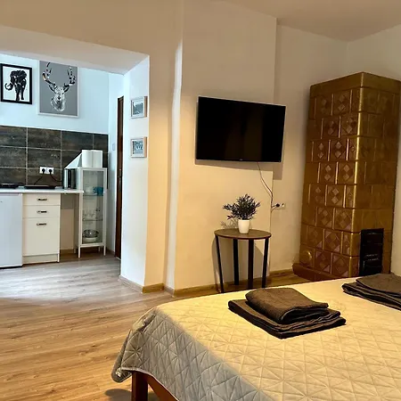 Wolnica 1 Apartment *